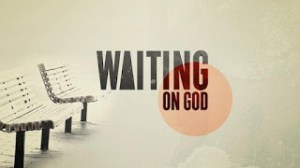 403104_10150656087736796_14395121795_11380542_920334209_n